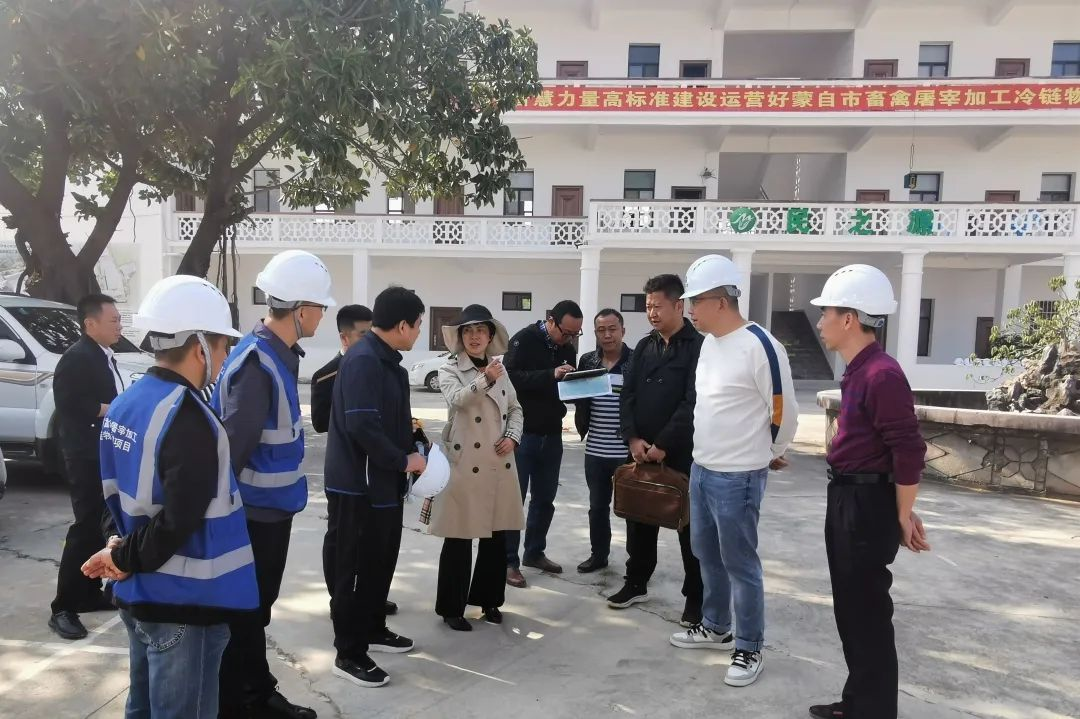 蒙自市委副书记、市长李梅莅临蒙自市畜禽屠宰项目施工现场检查指导工作